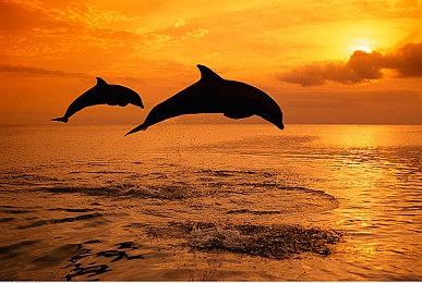 《米塔》主角第一次生日到来 米塔全家福贺图与玩家一同庆祝