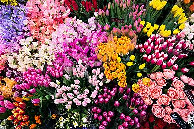 《光环：无限》多人会加入更多武器 最早明年5月开始